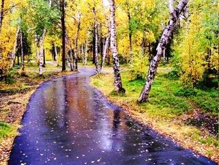 Меж осенью и жарким летом