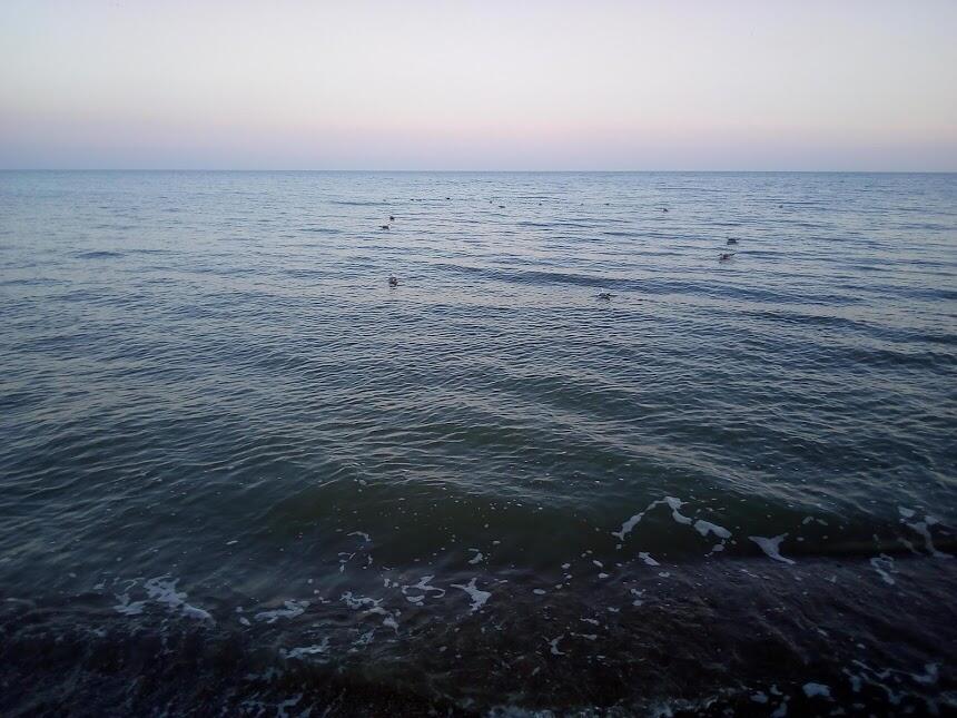 "Вольному - неволя".