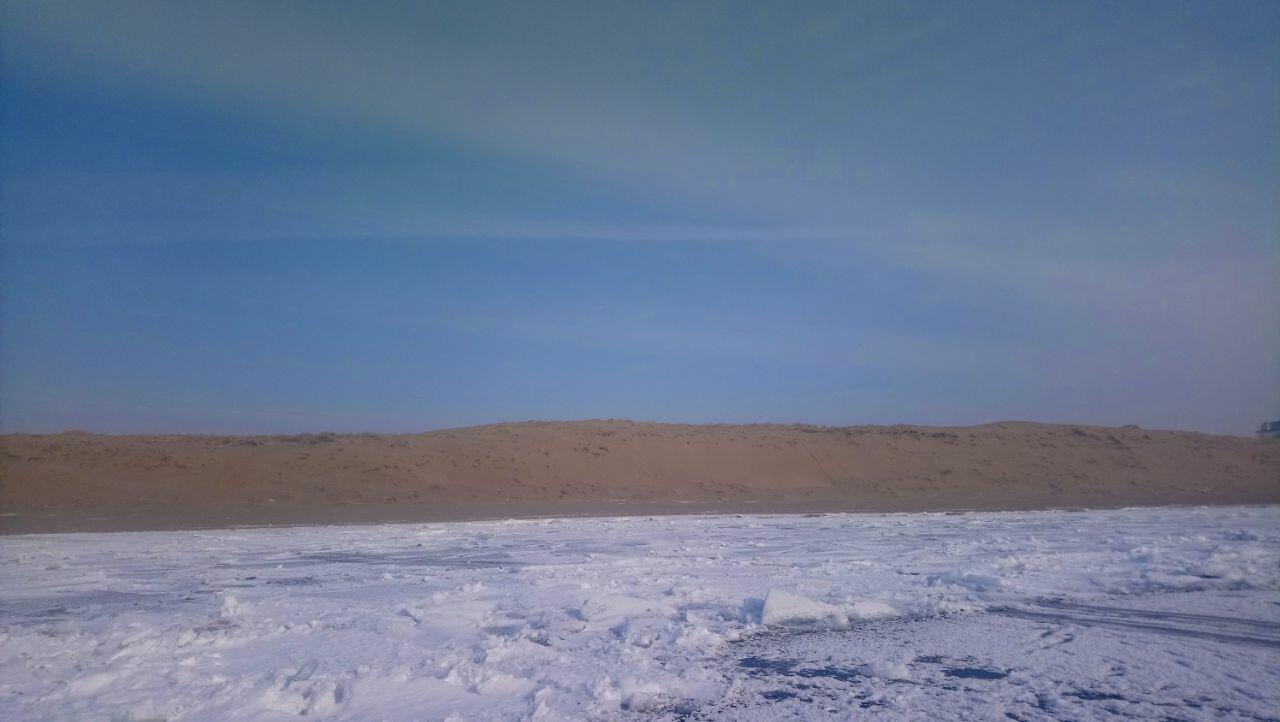 Наши две руки