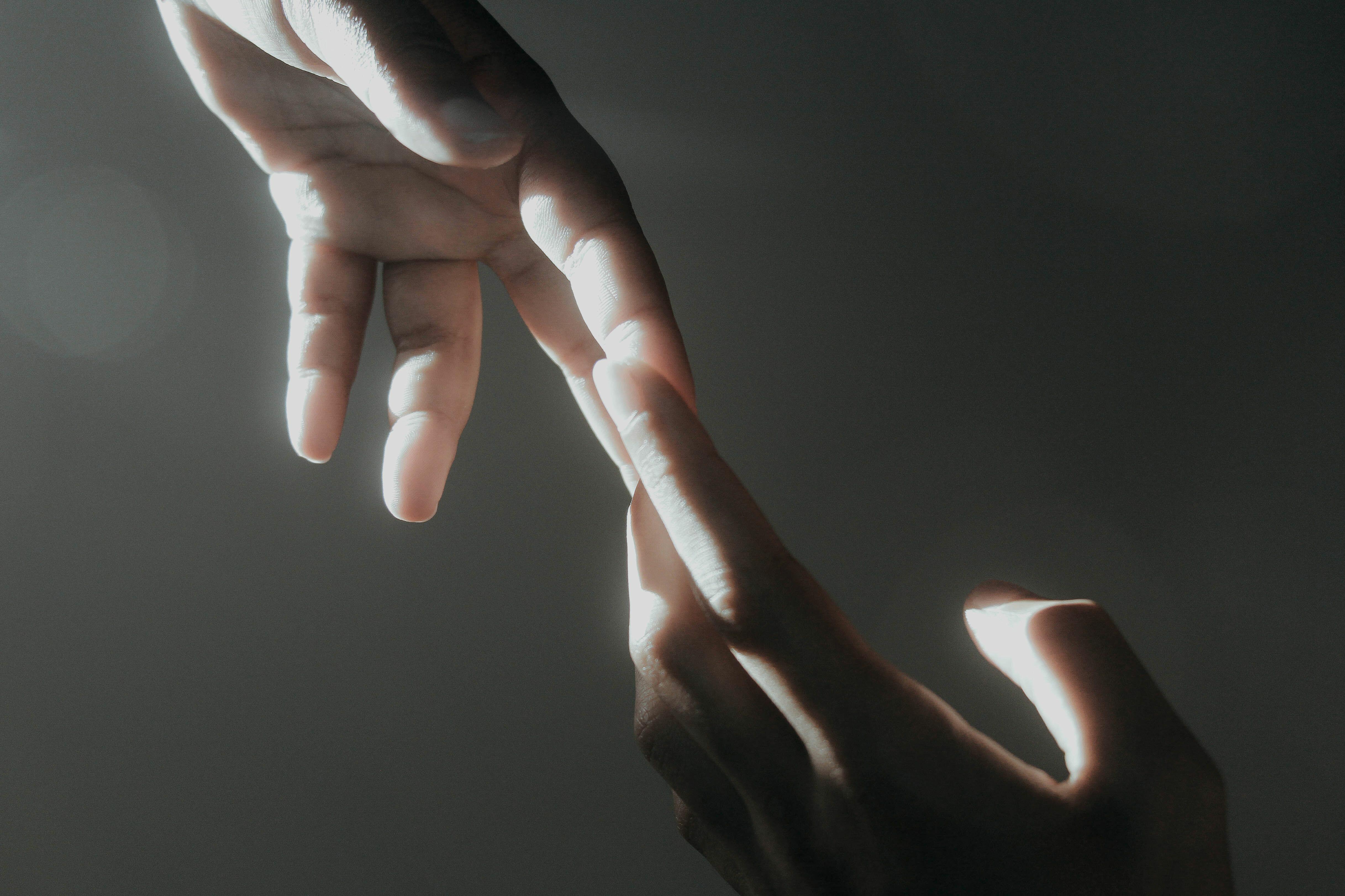 Я отдам тебе всё 