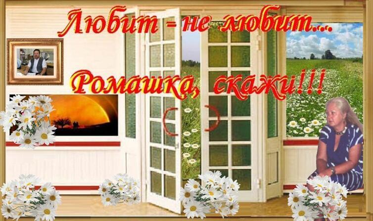 Любит - не любит... Ромашка, скажи!
