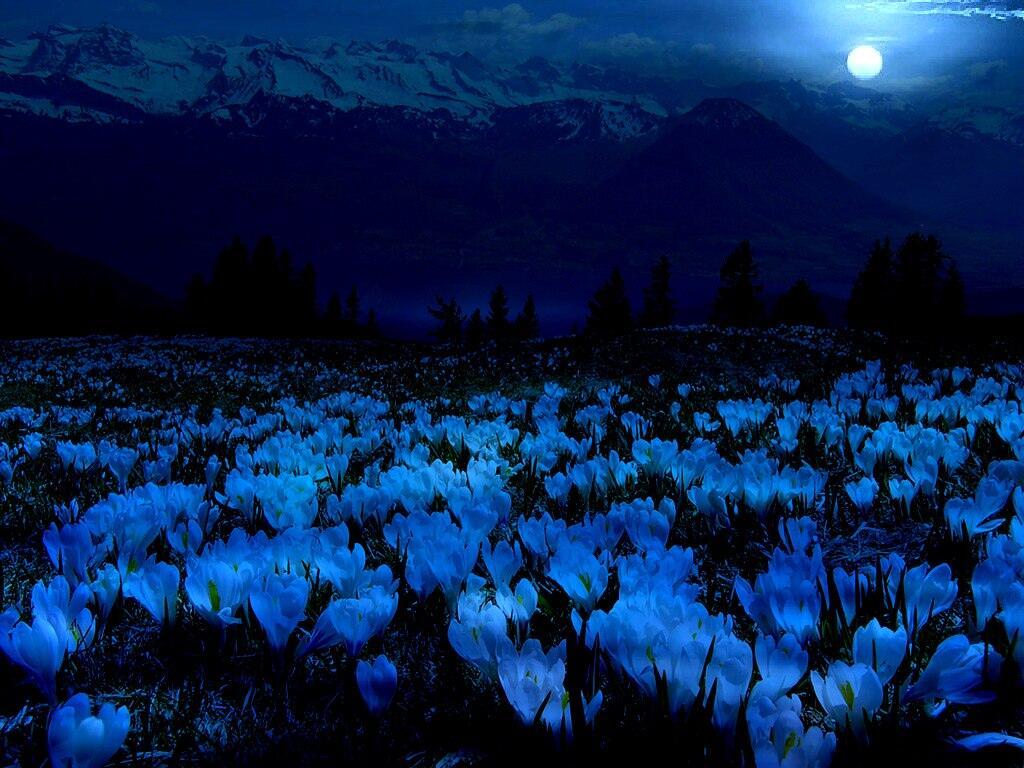 Дорога в рай