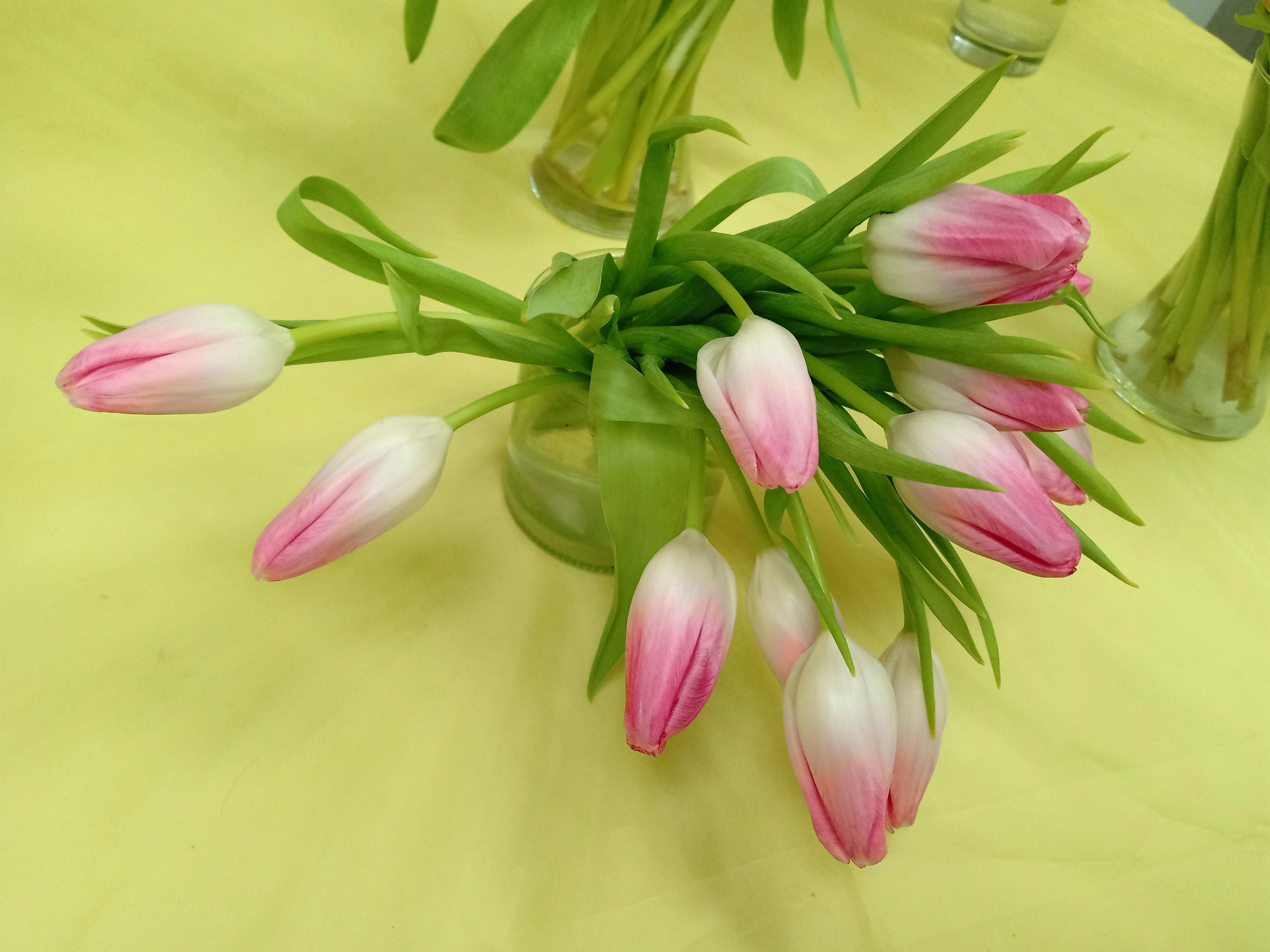 Милые дамы, улыбки ловите!