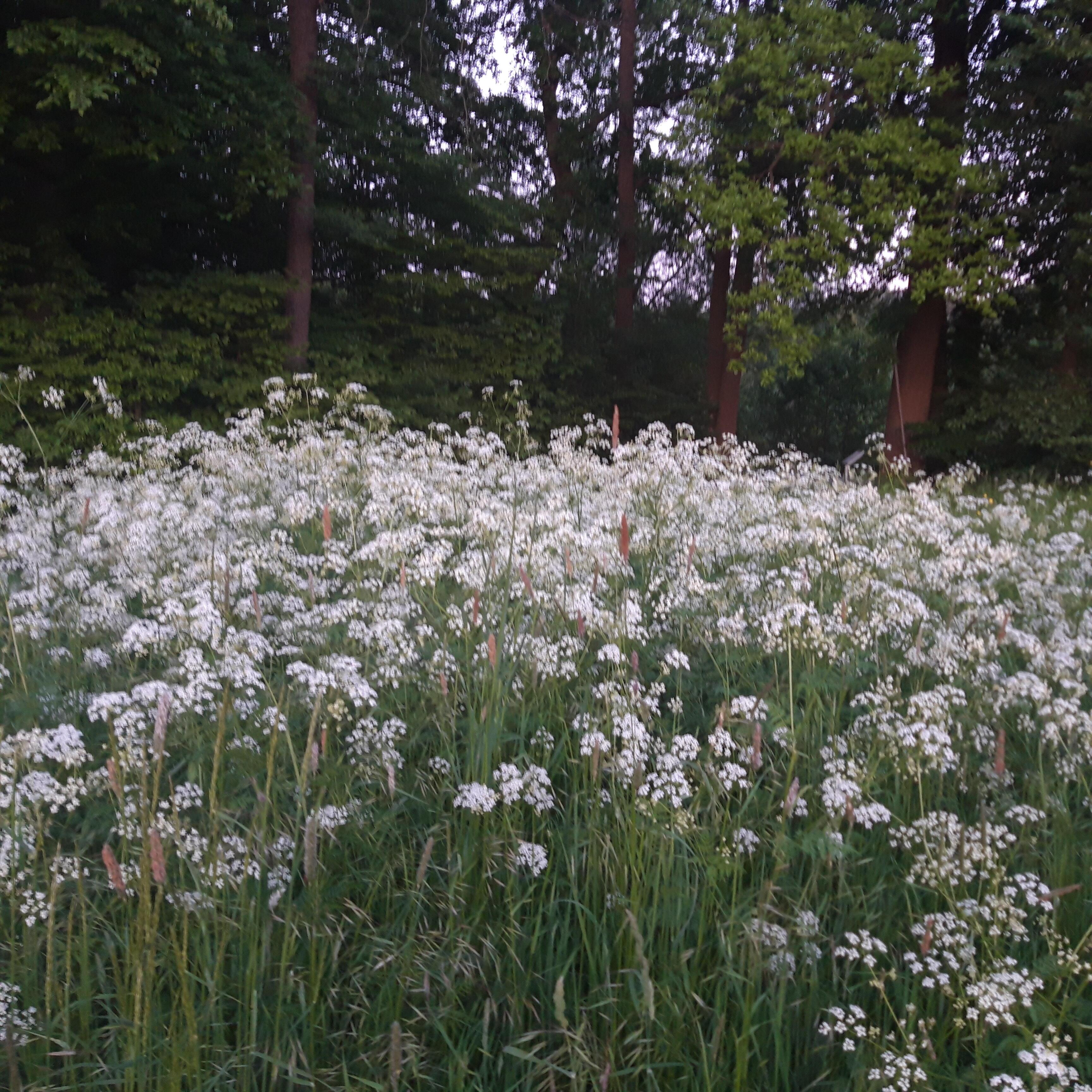 Джин твоей души