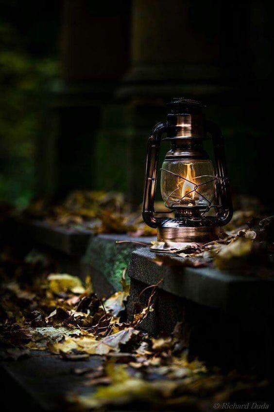 "Нежное пламя огня..." (24.02.2020)