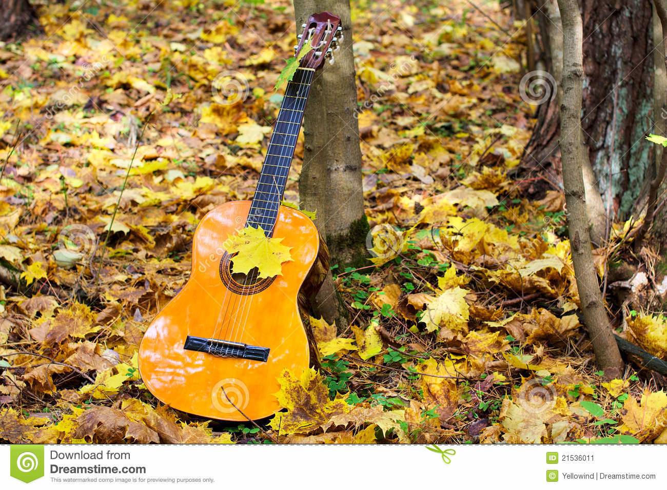 ДАЙ, ТЕБЯ ОБНИМУ, ДОРОГАЯ…