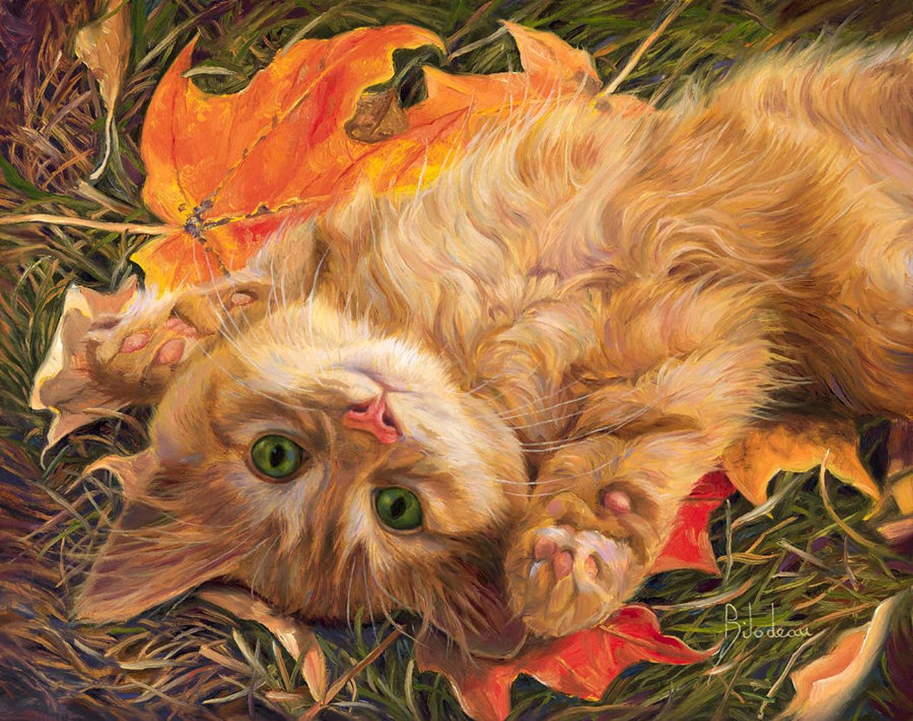 Котёнок по имени Осень