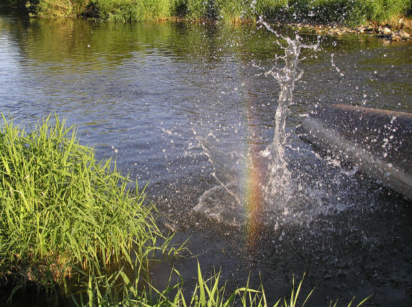 Семейный водевиль