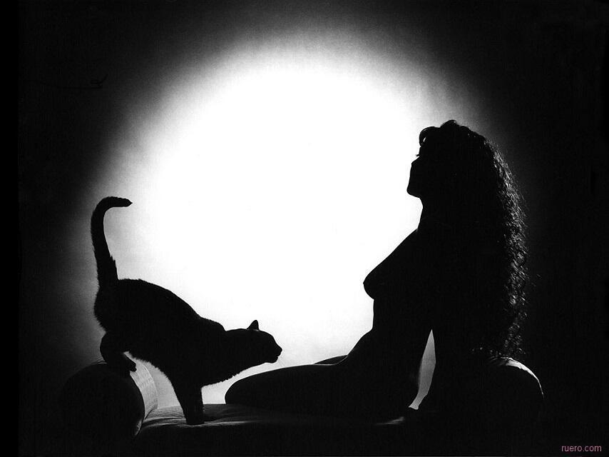 Всю ночь подруженьку ласкал, как кошку