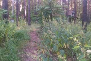 ПРОХОДИТ ВРЕМЯ