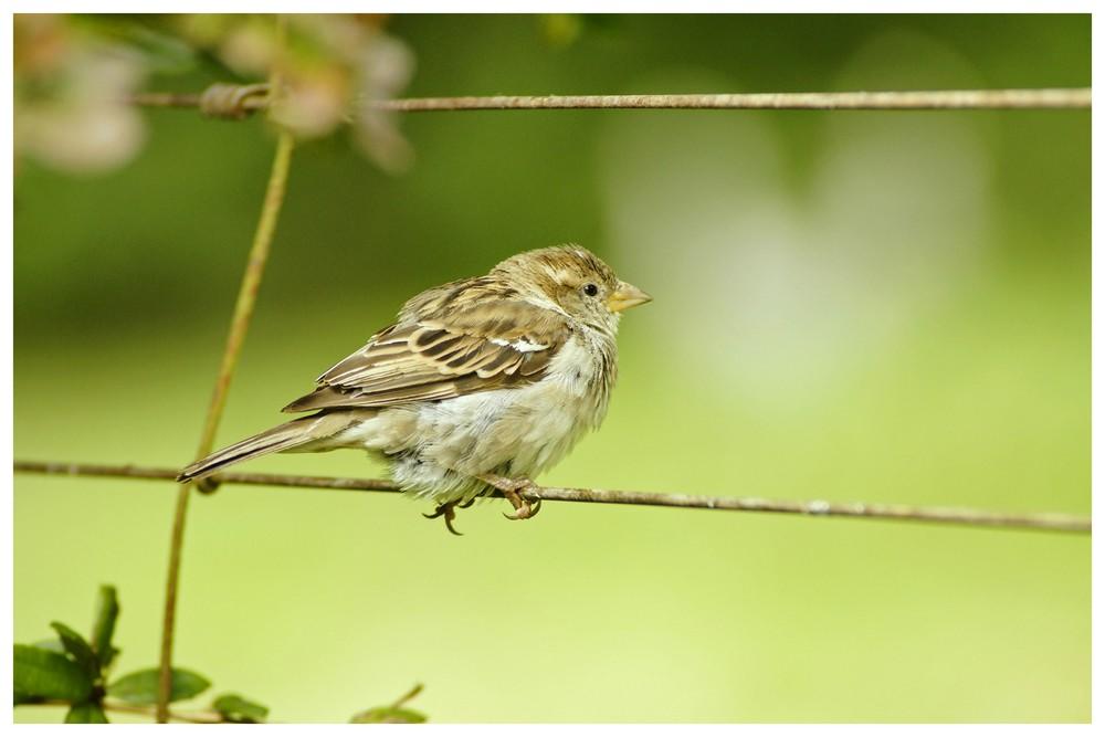 Начало мудрости всегда Господень страх