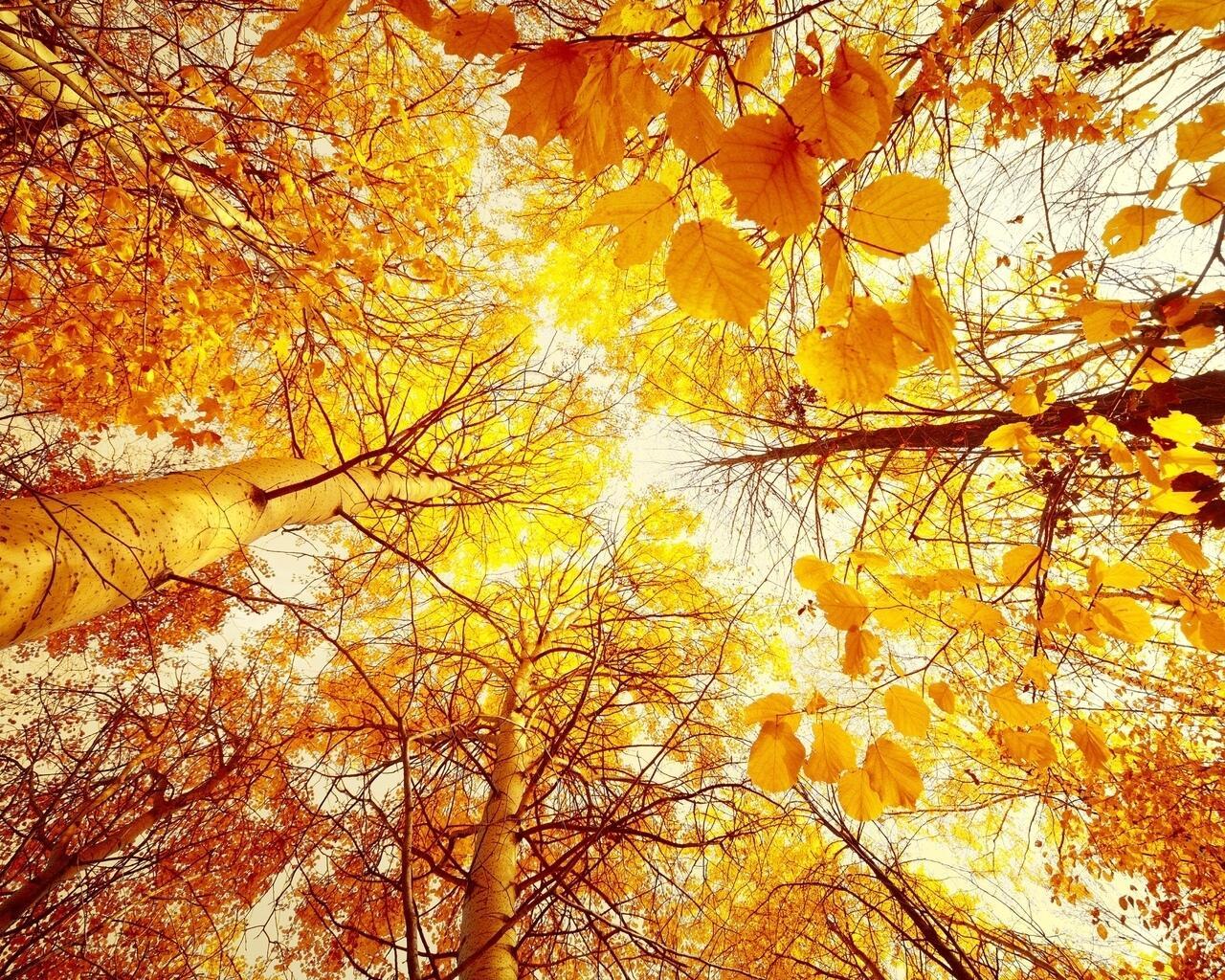 "Доброе слово" (30.03.2019)