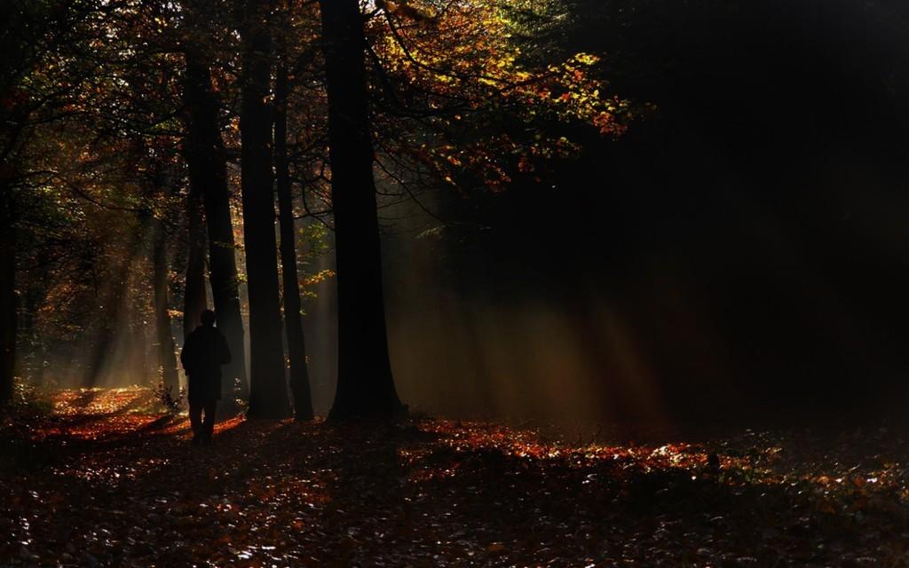 Ночная грусть