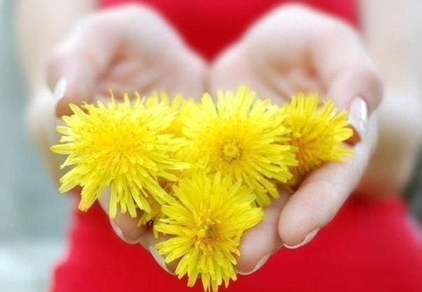 Рідна Країна