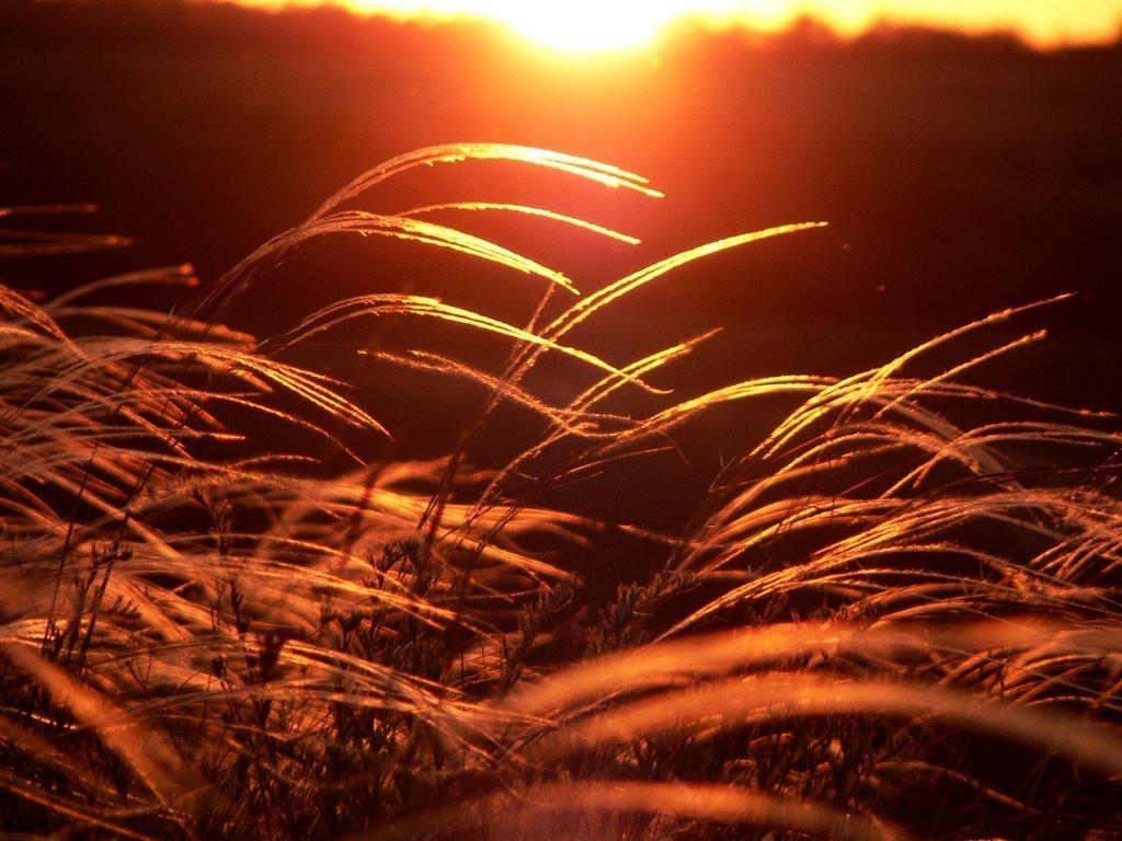 На невыносимо приподнятой боли...