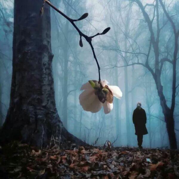 Пусть говорят