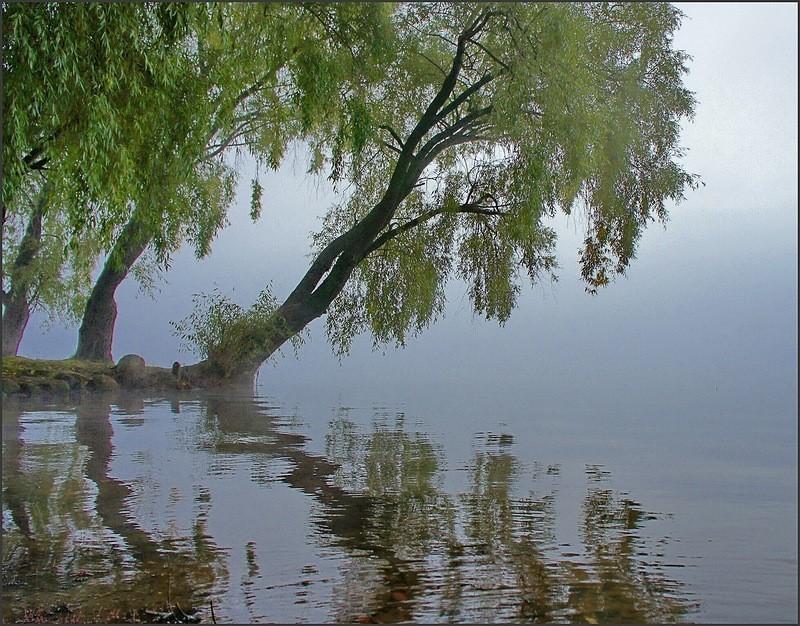 Нежданная весна