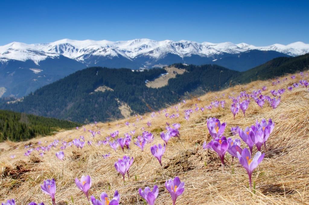 Скучное лето