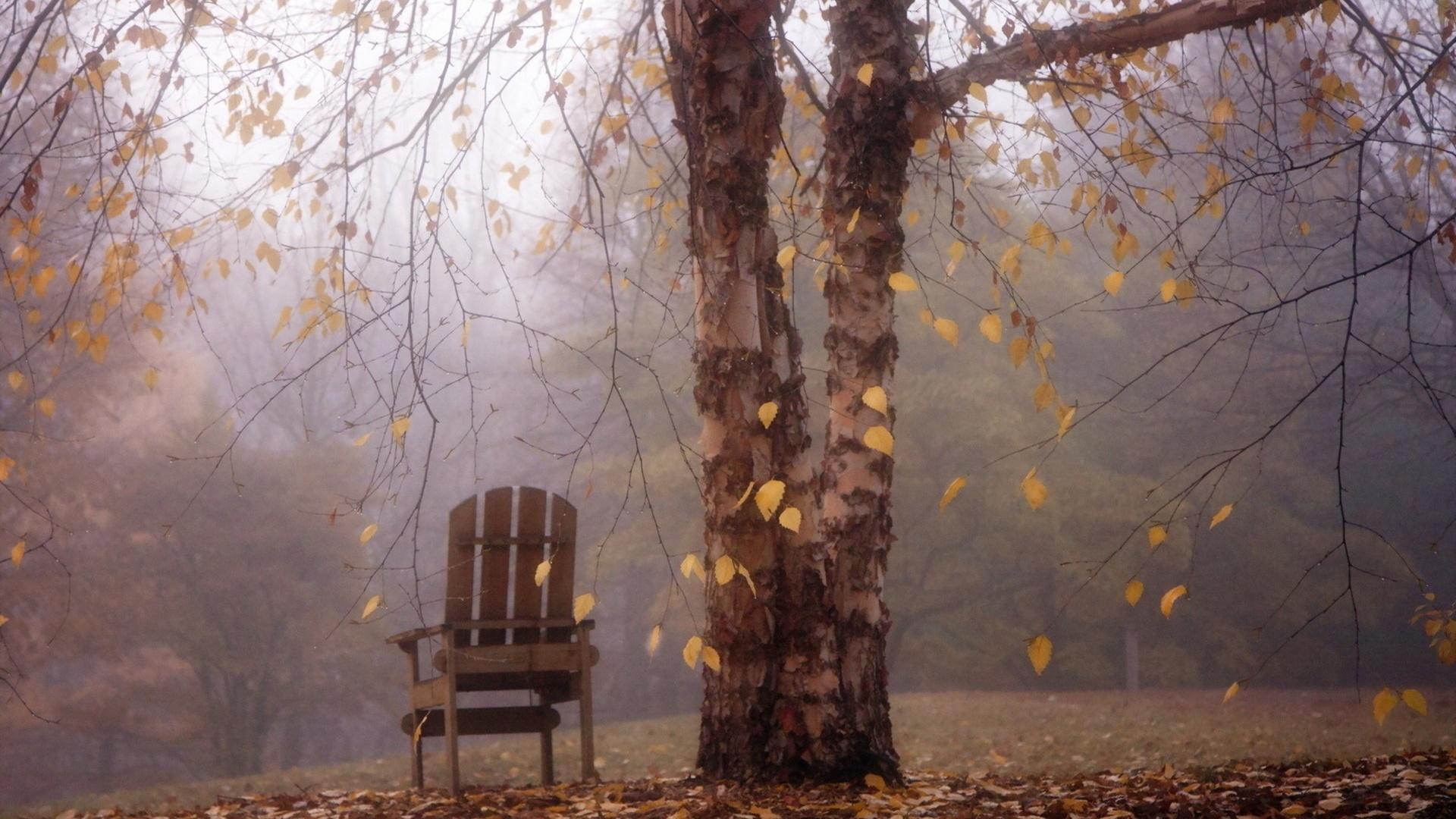 НАДОЕВШАЯ ОСЕНЬ