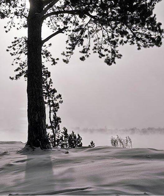 но вот наступила зима...