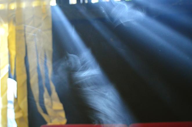 Включённость