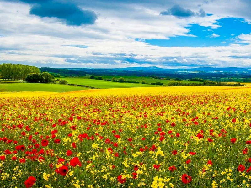 ПОКА ДЫШУ - ДАРИТЕ ЖИЗНЬ - Короткие Стихи № 28-29