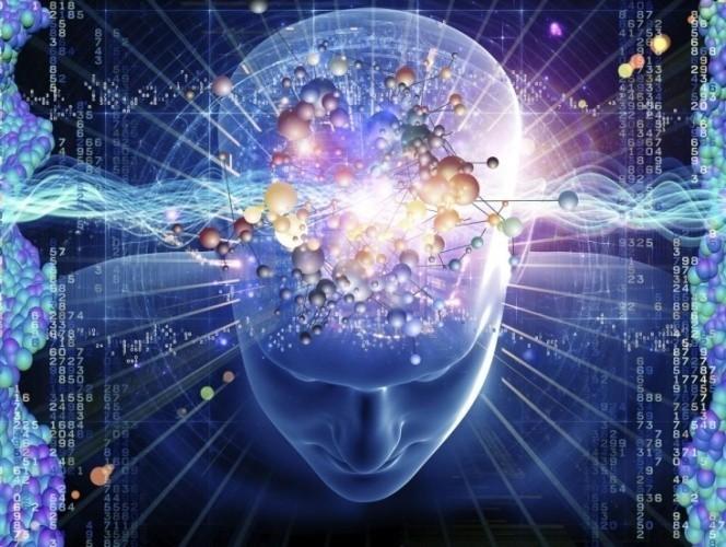 Явился от природы "ум" овальный