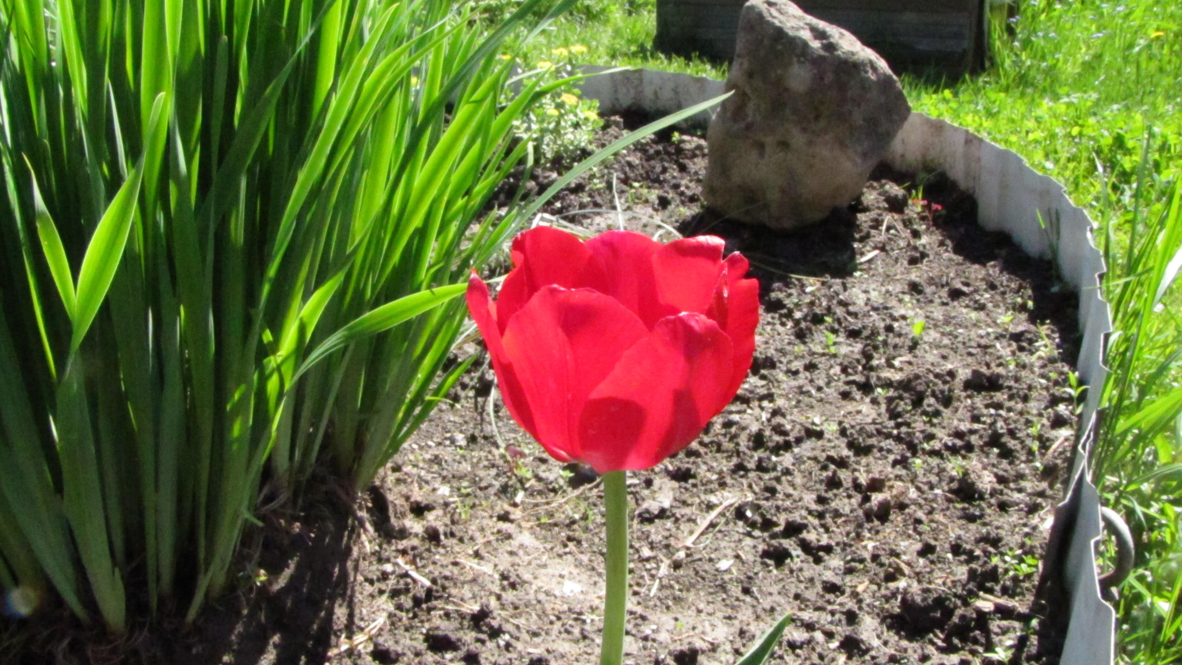 ОЧЕРЕДНАЯ ПОПЫТКА СОРВАЛАСЬ…