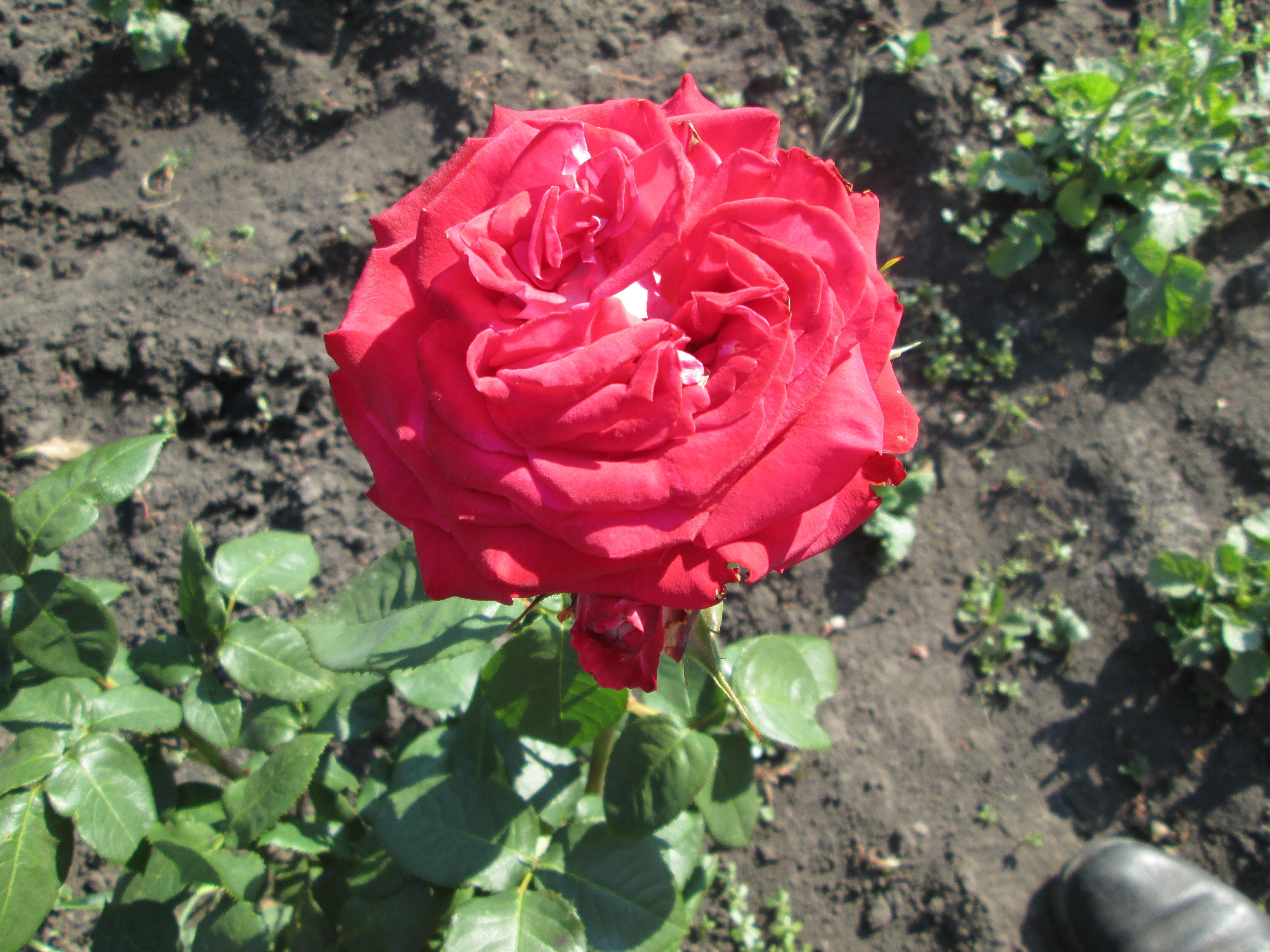 НА МАМИНОЙ КВАРТИРЕ