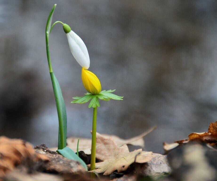 БУДЕМ ЗНАКОМЫ