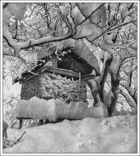 СКАЗОЧНАЯ ЗИМА