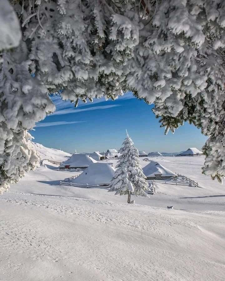 Неповторимая картина...