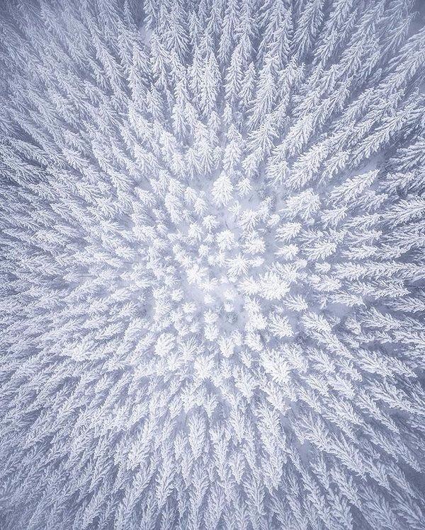 Зимний этюд