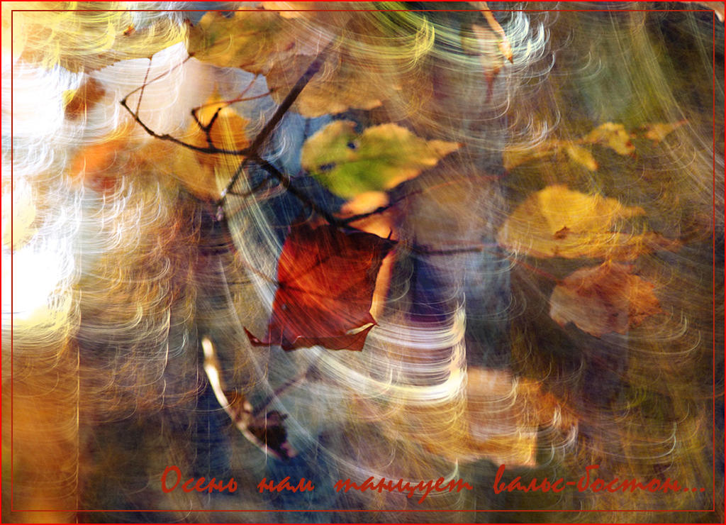 Осенний Сон Фото