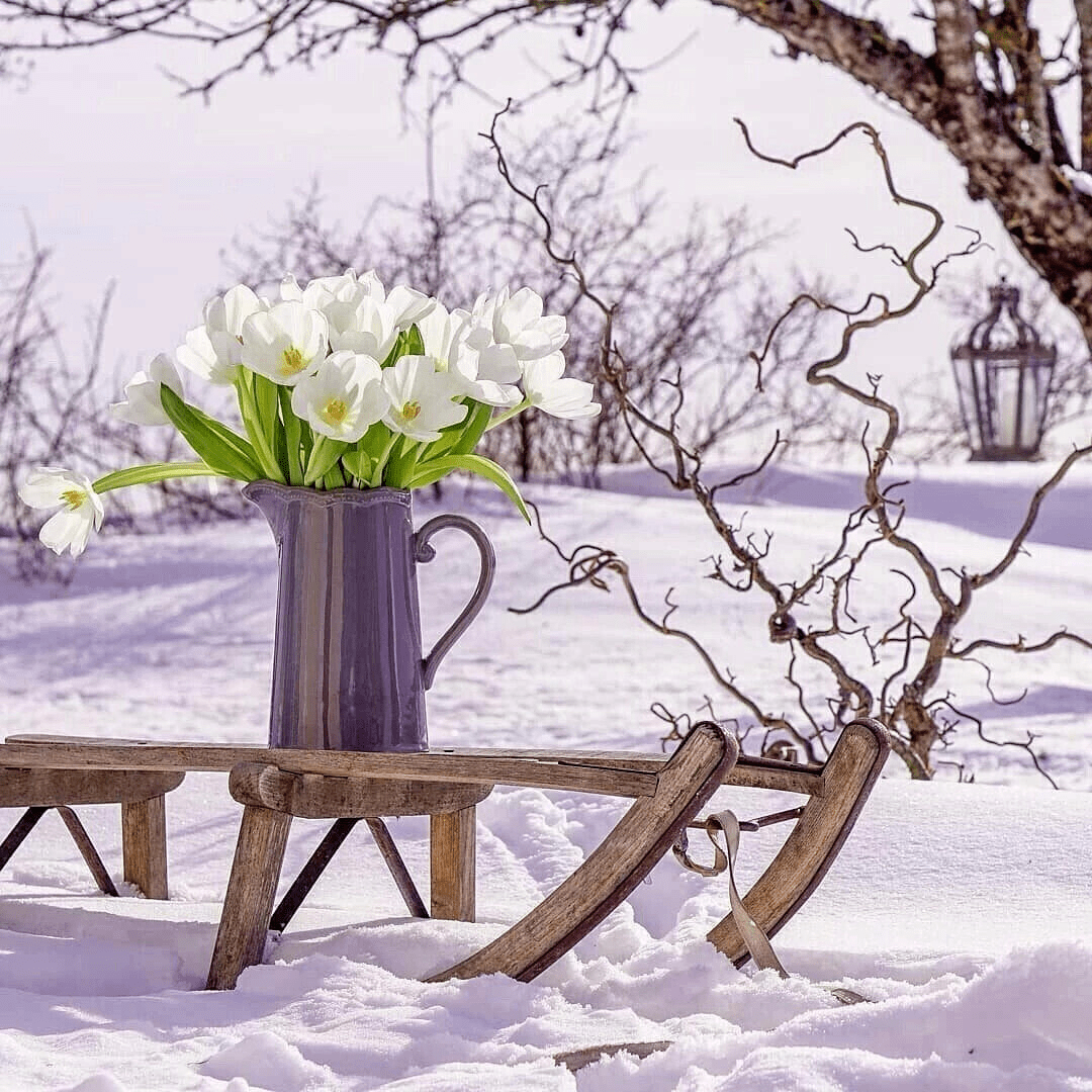 когда ждать весну в 2024 году