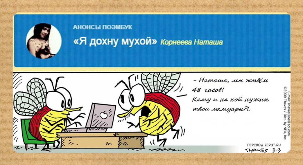ИЗ ДОХЛЫХ МУХ БУЛЬОН
