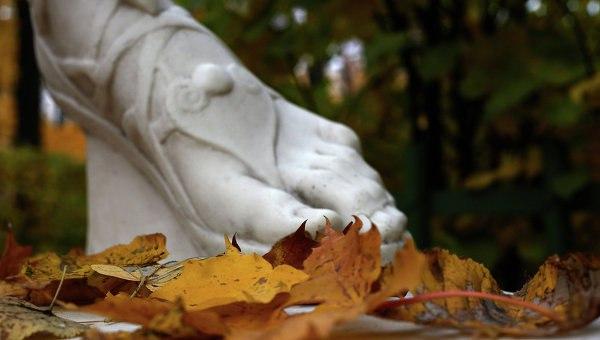 осень и любовь