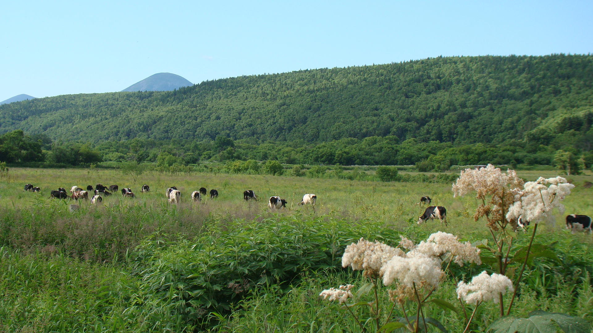 ГДЕ-ТО  ТАМ  ДАЛЕКО...   фото