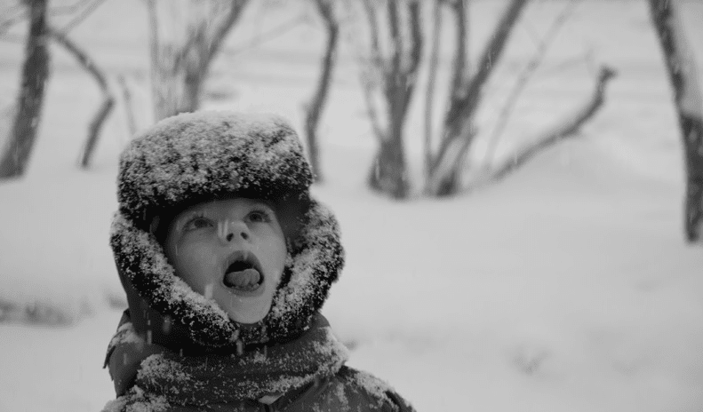 В вечернем парке городском