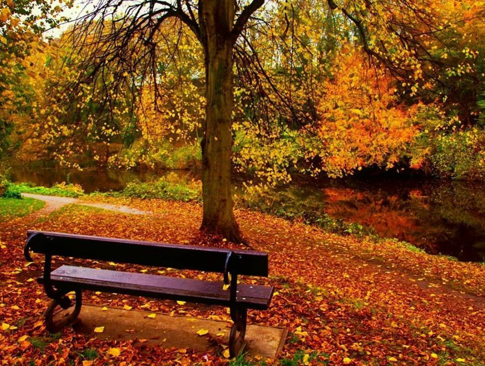 до лета чрез зиму