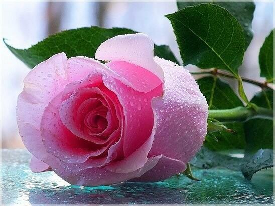 КОГДА ПРИХОДИТ СЧАСТЬЕ