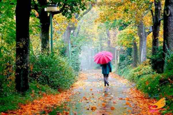 Осеннее одиночество