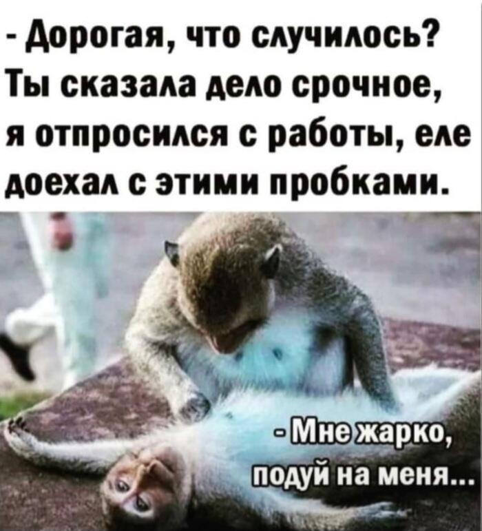 Смех сквозь слёзы