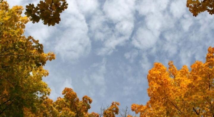 И сного Осень..