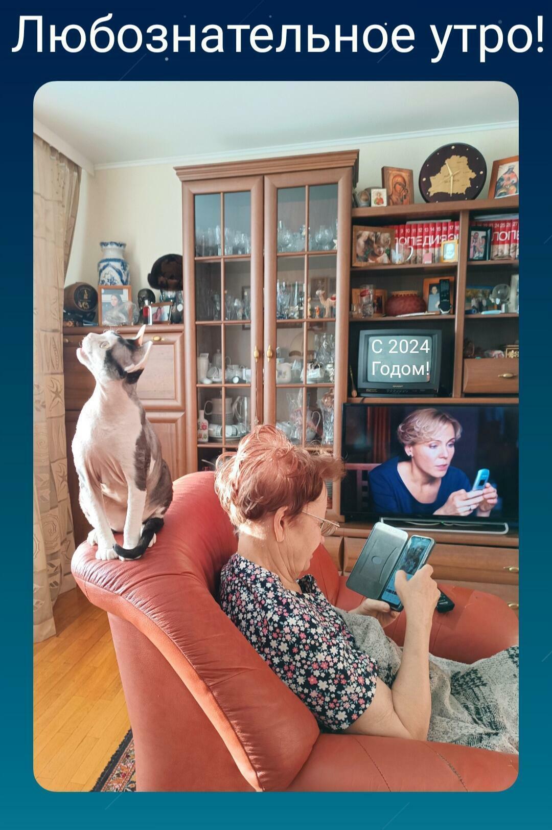 Любознательное утро