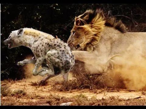 И один в поле воин.