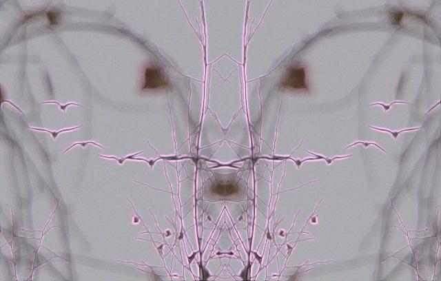 ЖУРАВЛИ УЛЕТАЮТ...