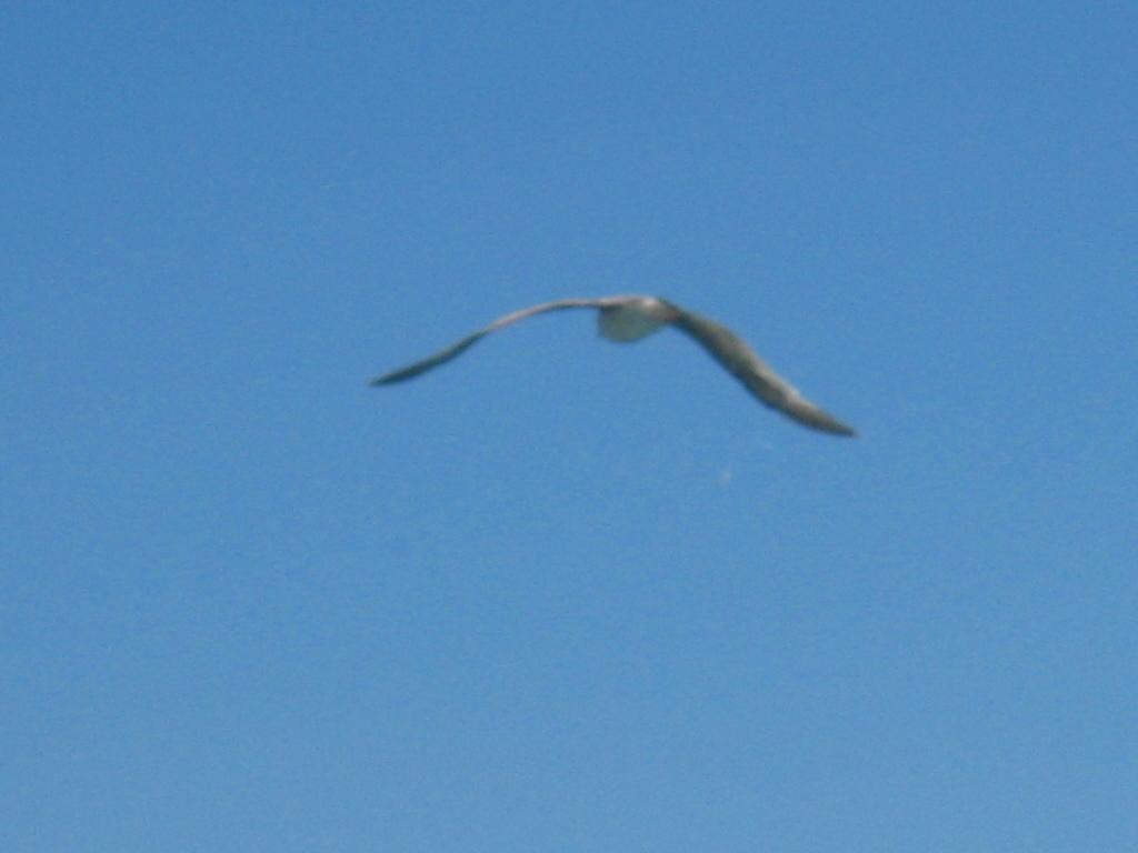 Родина детства