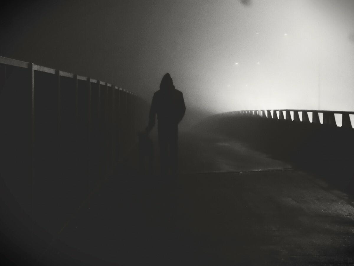 Гудят проезжие машины…