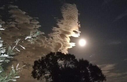 В воронке грехов